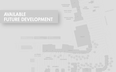 Future Development